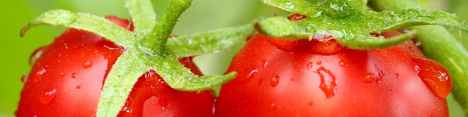 azotan-magnezu-produkt